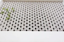 Nhà hướng Tây với mặt tiền gạch rỗng lạ mắt ở Thanh Hóa 
