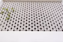 Nhà hướng Tây với mặt tiền gạch rỗng lạ mắt ở Thanh Hóa 