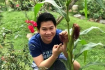 Nhà vườn quanh năm thu hoạch rau trái của "Vua nhạc đỏ"