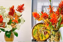 Từ bản xuống phố, cây mọc dại thành thú chơi đắt khách 