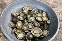 Đặc sản nghe tên "ngượng đỏ mặt" 300.000 đồng/kg hút khách