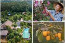 Toàn cảnh nhà vườn 10.000m2 ở Hà Nội của "ông hoàng nhạc đỏ"