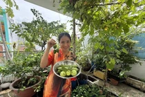 Khu vườn xanh mướt trong ngôi nhà MC Cát Tường sắp rời đi