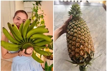 Cận cảnh "trái cây khổng lồ" trong khu vườn hơn 10.000m2 của Mỹ Lệ 