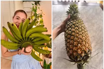 Cận cảnh "trái cây khổng lồ" trong khu vườn hơn 10.000m2 của Mỹ Lệ 