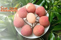 INFOGRAPHIC: Vải trứng đặc sản 200.000 đồng/kg không đủ bán 