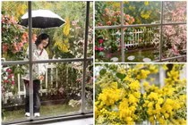 Cận cảnh căn nhà đẹp như tranh vẽ của nghệ sĩ Hồng Đào 