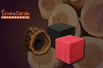 [INFOGRAPHIC] Top 5 loại gỗ đắt nhất thế giới