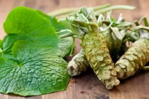 Loại củ đắt bậc nhất thế giới, 6 triệu đồng/kg tại Việt Nam 