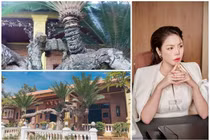 Loài cây độc nhất Việt Nam trong biệt phủ của Lý Nhã Kỳ 