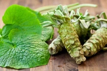 Gia vị đắt giá trong ẩm thực Nhật Bản, 6 triệu đồng/kg tại Việt Nam