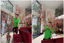 Cận cảnh biệt thự ngập hoa đào đón Tết của Đàm Vĩnh Hưng