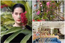 Bên trong ngôi nhà rực rỡ sắc hoa của nữ diễn viên phim "Mưa đỏ"