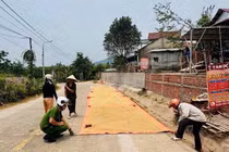 Công an cảnh báo hiểm họa phơi lúa dưới lòng đường
