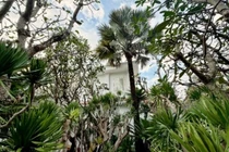 Cận cảnh biệt thự sân vườn như "Đà Lạt thu nhỏ"của NTK Đỗ Mạnh Cường