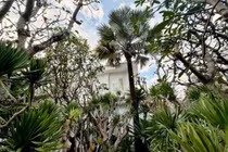 Cận cảnh biệt thự sân vườn như "Đà Lạt thu nhỏ"của NTK Đỗ Mạnh Cường