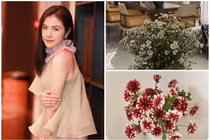 Cận cảnh biệt thự ngập hoa tươi của diễn viên Vân Trang