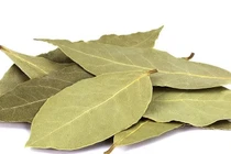 Loại lá rụng đầy vườn ở Việt Nam, ra nước ngoài 2 triệu đồng/kg