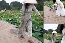 Đi chụp ảnh hồ sen, hội chị em trải qua kiếp nạn