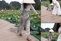 Đi chụp ảnh hồ sen, hội chị em trải qua kiếp nạn 