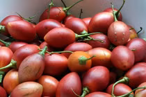 Loại quả đắt bậc nhất thế giới, Việt Nam trồng đại trà thành đặc sản 