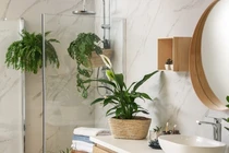 4 vị trí trong nhà không nên đặt cây cảnh 