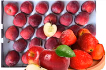 Táo cherry đắt gấp 2–3 lần táo thường vẫn "cháy hàng" 