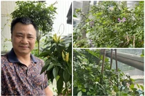 Tận thấy ban công xanh mướt trong nhà NSND Tự Long 