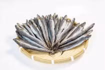 Loại cá xưa rẻ bèo, nay nửa triệu/kg vẫn đắt hàng 