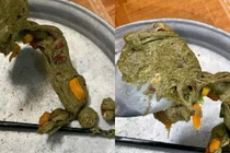 Làm kẹo nougat đón Tết, cô gái xinh đẹp nhận “cái kết đắng”