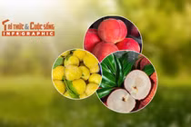 [INFOGRAPHIC] 3 loại quả Trung Quốc đắt đỏ hút khách Việt