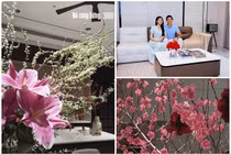 Bên trong biệt thự ngập sắc hoa đón Tết của Đoàn Văn Hậu