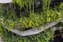 Chiêm ngưỡng tòa nhà 8 tầng như ốc đảo xanh giữa lòng Hà Nội