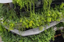 Chiêm ngưỡng tòa nhà 8 tầng như ốc đảo xanh giữa lòng Hà Nội