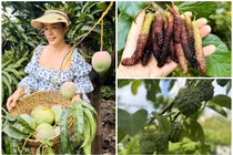 Nhà vườn 10.000m2 lúc lỉu trái cây của ca sĩ Mỹ Lệ 