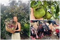 View - Khu vườn ngập cây trái trong biệt thự trên núi của Mạnh Trường | Báo Tri thức và Cuộc sống - TIN TỨC PHỔ BIẾN KIẾN THỨC 24H