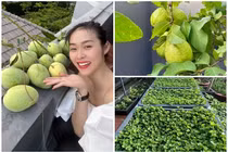Bên trong nhà phố ngập hoa và rau xanh của Diệp Bảo Ngọc 