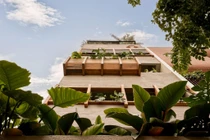 Khám phá ngôi nhà 5 tầng 'biết thở" giữa lòng thành phố 