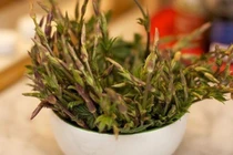 "Sửng sốt" loại rau từng bị vứt bỏ, nay 39 triệu đồng/kg