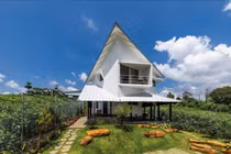 Ngôi nhà trên đồi với tầm nhìn đẹp mê hồn khiến báo ngoại hết lời ca tụng