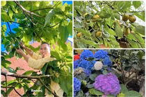 Toàn cảnh biệt phủ hoa trái lúc lỉu của danh hài Vượng Râu