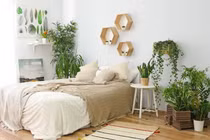 5 vị trí đặt cây trong nhà tưởng đẹp nhưng rước họa