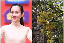 Khu vườn giản dị ngập rau trái của NSƯT Hạnh Thúy