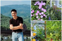 Ngắm biệt thự trên núi hoa giăng khắp lối của Mạnh Trường