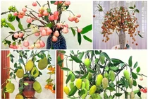 Những bình quả lạ trang trí nhà đẹp mê mẩn đang gây sốt
