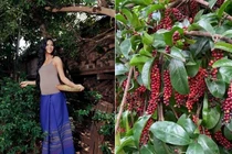 View - Khu vườn ngập cây trái trong biệt thự trên núi của Mạnh Trường | Báo Tri thức và Cuộc sống - TIN TỨC PHỔ BIẾN KIẾN THỨC 24H