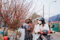 Dự báo thời tiết 15/2/2026: Miền Bắc nắng ấm, nhiệt độ tăng 