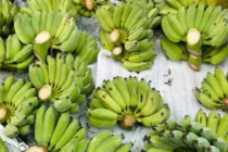 'Cháy hàng' chuối xanh lộc tài 700.000/nải