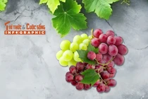 [INFOGRAPHIC] 4 loại nho Trung Quốc giá rẻ bán đầy chợ Việt 