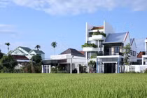 Nhà phố mát lịm nhờ giếng trời và ban công xanh mướt